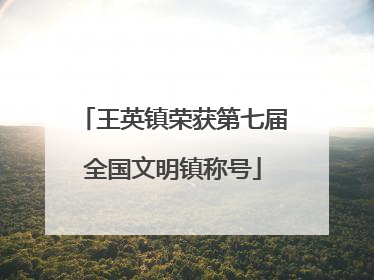 王英镇荣获第七届全国文明镇称号