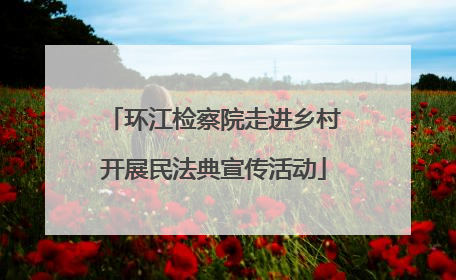 环江检察院走进乡村开展民法典宣传活动