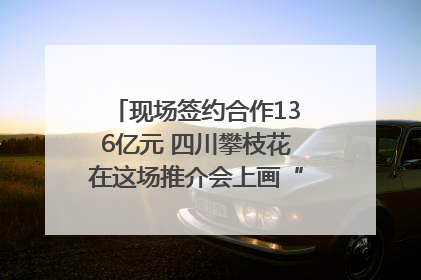 现场签约合作136亿元 四川攀枝花在这场推介会上画“图谱”列“清单”
