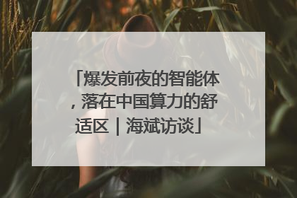 爆发前夜的智能体，落在中国算力的舒适区｜海斌访谈