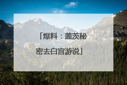 爆料：盖茨秘密去白宫游说