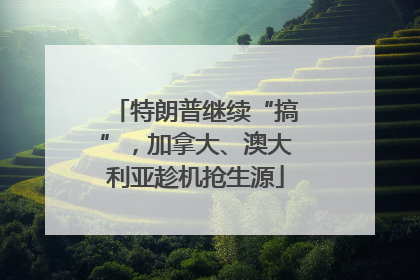 特朗普继续“搞”，加拿大、澳大利亚趁机抢生源