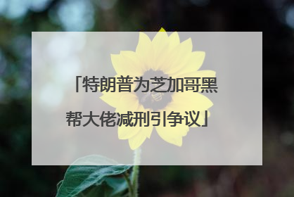 特朗普为芝加哥黑帮大佬减刑引争议