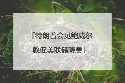 特朗普会见鲍威尔 敦促美联储降息