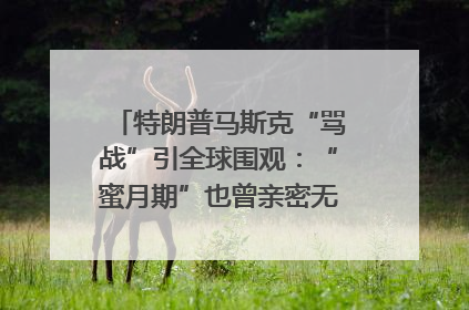 特朗普马斯克“骂战”引全球围观：“蜜月期”也曾亲密无间｜国际观察