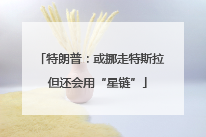 特朗普：或挪走特斯拉 但还会用“星链”