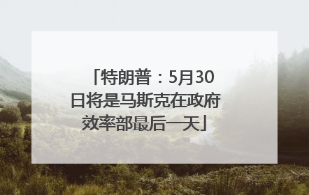 特朗普：5月30日将是马斯克在政府效率部最后一天