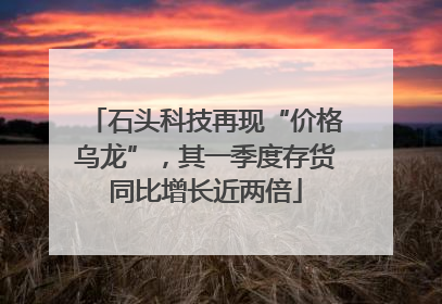 石头科技再现“价格乌龙”，其一季度存货同比增长近两倍