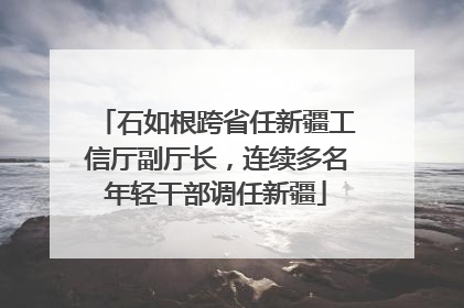 石如根跨省任新疆工信厅副厅长，连续多名年轻干部调任新疆