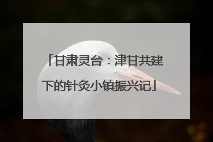 甘肃灵台：津甘共建下的针灸小镇振兴记