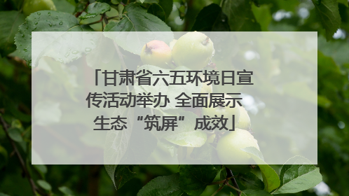 甘肃省六五环境日宣传活动举办 全面展示生态“筑屏”成效