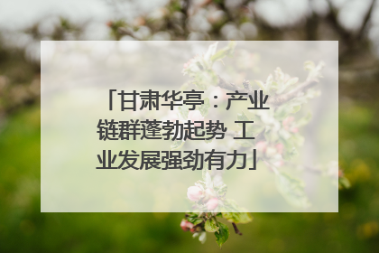 甘肃华亭：产业链群蓬勃起势 工业发展强劲有力