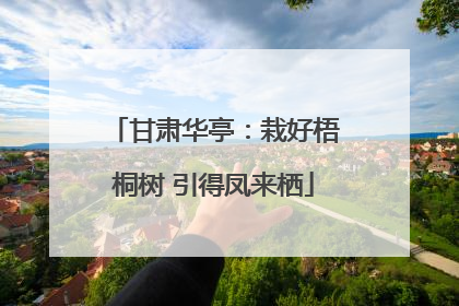 甘肃华亭：栽好梧桐树 引得凤来栖