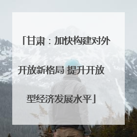甘肃：加快构建对外开放新格局 提升开放型经济发展水平