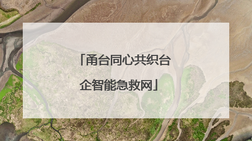 甬台同心共织台企智能急救网