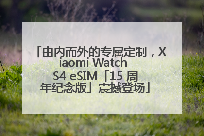 由内而外的专属定制，Xiaomi Watch S4 eSIM「15 周年纪念版」震撼登场
