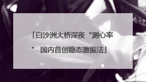 白沙洲大桥深夜“测心率” 国内首创稳态激振法