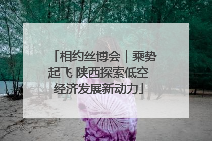相约丝博会｜乘势起飞 陕西探索低空经济发展新动力