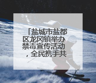 盐城市盐都区龙冈镇举办禁毒宣传活动，全民携手共筑禁毒防线