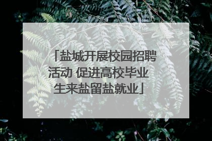 盐城开展校园招聘活动 促进高校毕业生来盐留盐就业