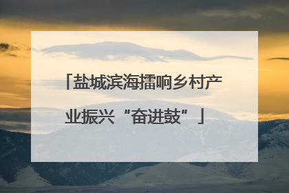 盐城滨海擂响乡村产业振兴“奋进鼓”