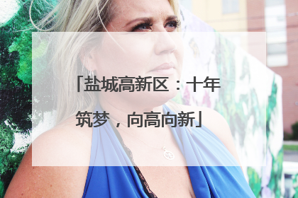 盐城高新区：十年筑梦，向高向新