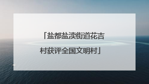 盐都盐渎街道花吉村获评全国文明村