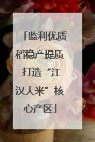监利优质稻稳产提质 打造“江汉大米”核心产区