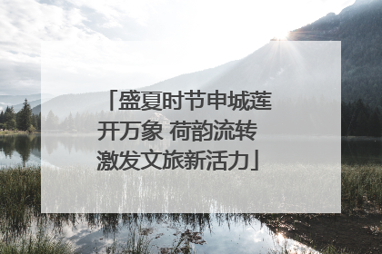 盛夏时节申城莲开万象 荷韵流转激发文旅新活力