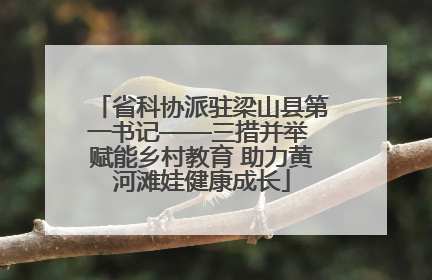 省科协派驻梁山县第一书记——三措并举 赋能乡村教育 助力黄河滩娃健康成长