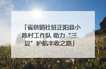 省供销社驻正阳县小陈村工作队 助力“三夏”护航丰收之路