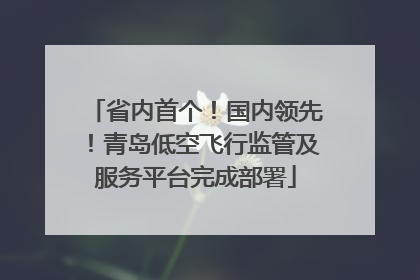 省内首个！国内领先！青岛低空飞行监管及服务平台完成部署