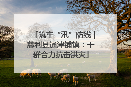 筑牢“汛”防线｜慈利县通津铺镇：干群合力抗击洪灾
