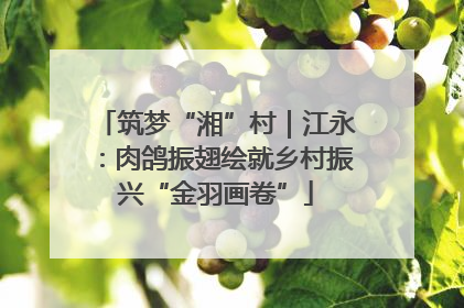 筑梦“湘”村｜江永：肉鸽振翅绘就乡村振兴“金羽画卷”