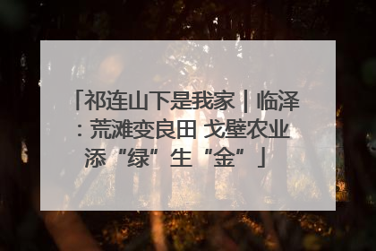 祁连山下是我家｜临泽：荒滩变良田 戈壁农业添“绿”生“金”