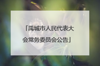 禹城市人民代表大会常务委员会公告