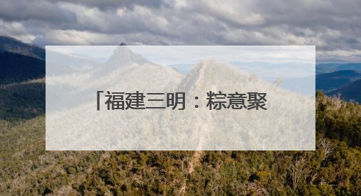 福建三明：粽意聚菁英 关爱暖征途