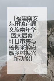 福建南安东田镇首届文旅嘉年华盛大启幕 圩日市集与杨梅采摘点燃乡村振兴新动能
