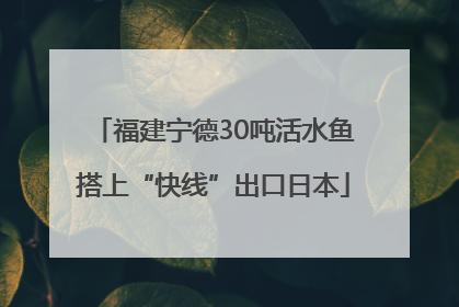 福建宁德30吨活水鱼搭上“快线”出口日本