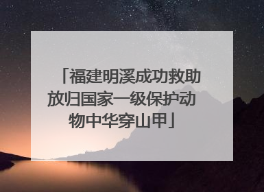 福建明溪成功救助放归国家一级保护动物中华穿山甲