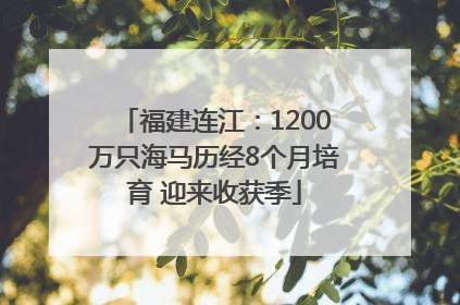 福建连江：1200万只海马历经8个月培育 迎来收获季