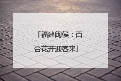 福建闽侯：百合花开迎客来