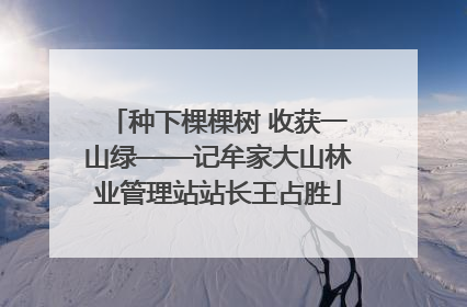 种下棵棵树 收获一山绿——记牟家大山林业管理站站长王占胜