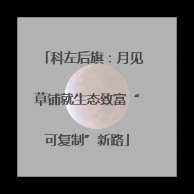 科左后旗：月见草铺就生态致富“可复制”新路
