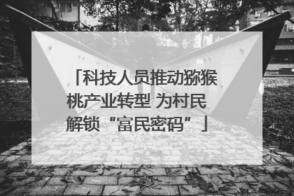 科技人员推动猕猴桃产业转型 为村民解锁“富民密码”