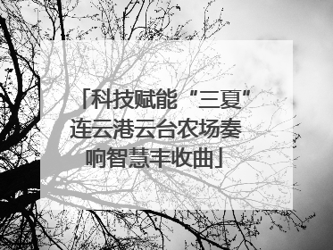 科技赋能“三夏” 连云港云台农场奏响智慧丰收曲