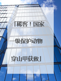 稀客！国家一级保护动物穿山甲获救