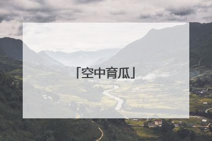空中育瓜