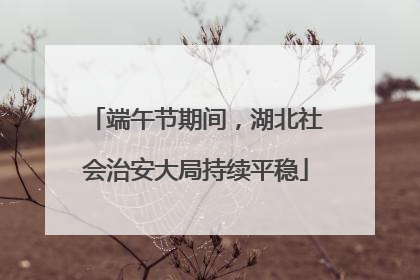 端午节期间，湖北社会治安大局持续平稳