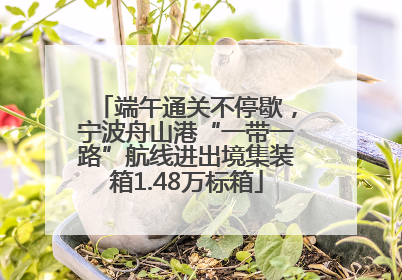 端午通关不停歇，宁波舟山港“一带一路”航线进出境集装箱1.48万标箱